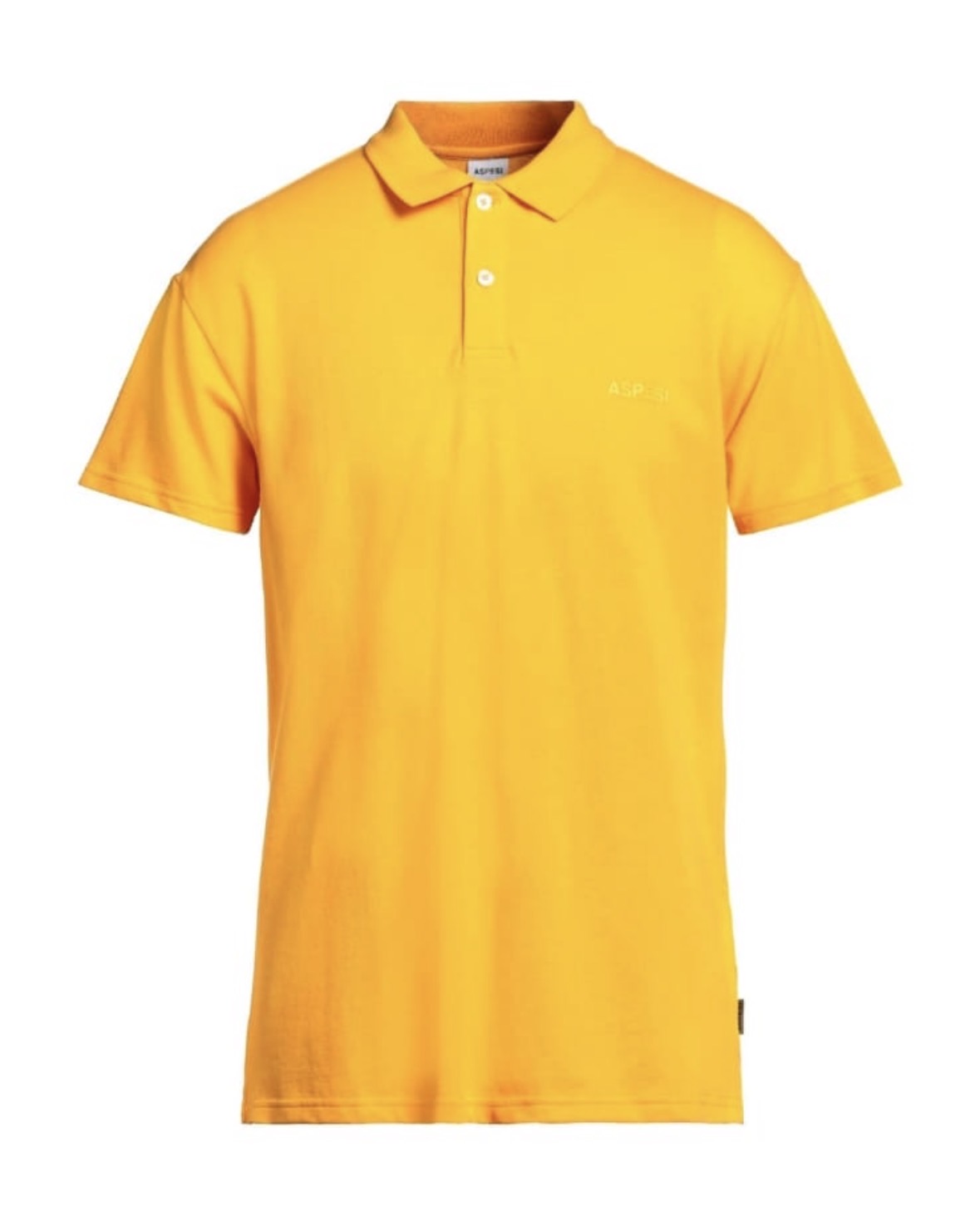Polo aspesi